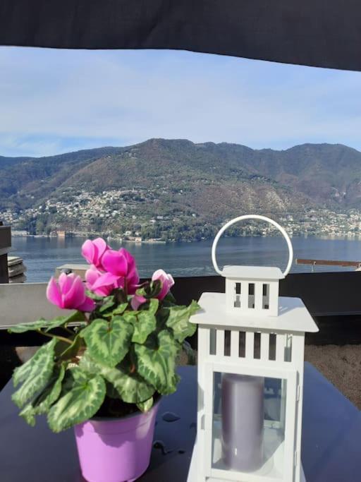 Luxury Room La Terrazza Sul Lago Di Como Blevio Eksteriør bilde