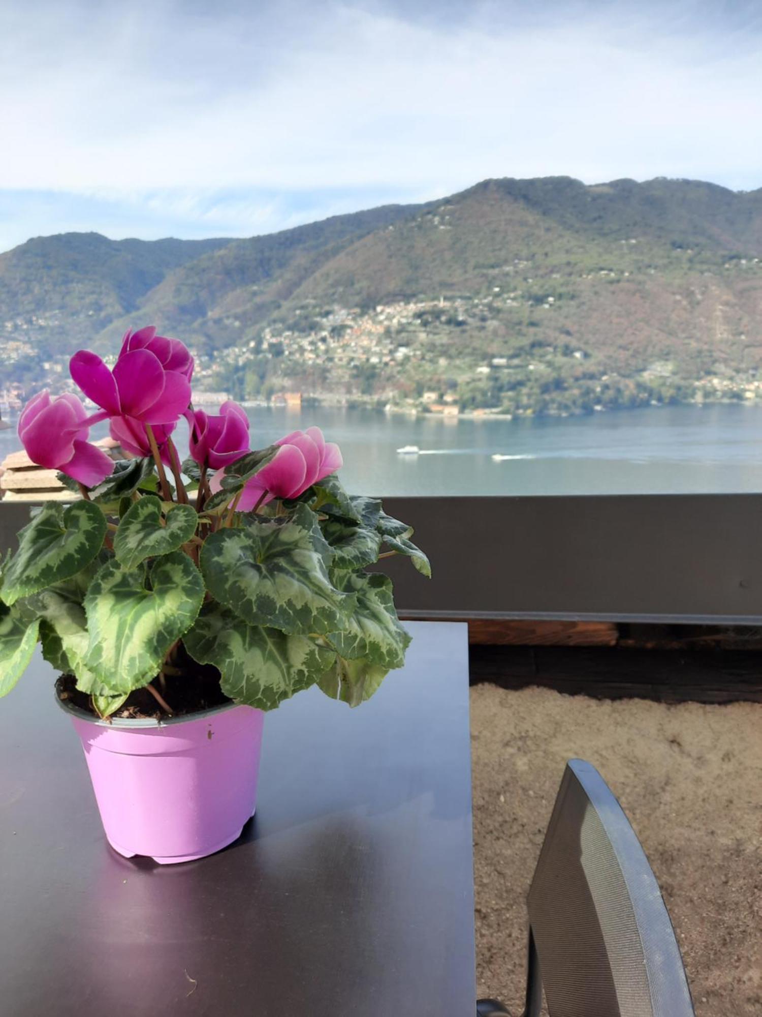 Luxury Room La Terrazza Sul Lago Di Como Blevio Eksteriør bilde
